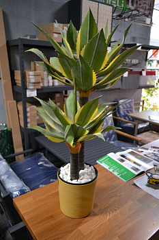 Юкка Ивори ВН.ШК