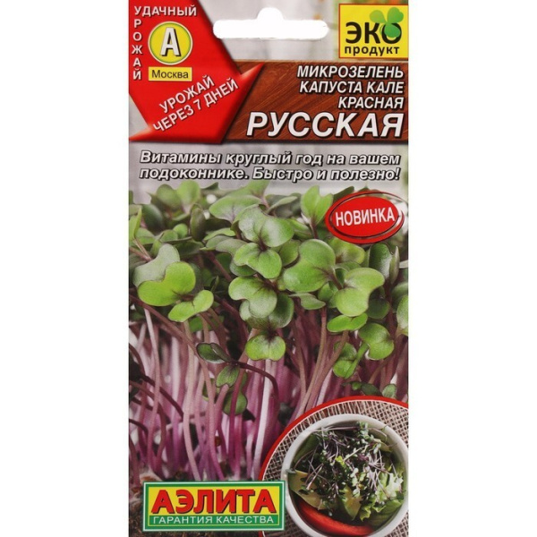 kapusta_listovaya_kale_krasnaya_russkaya_semena_aelita_mikrozelen_dlya_podokonnika_3g