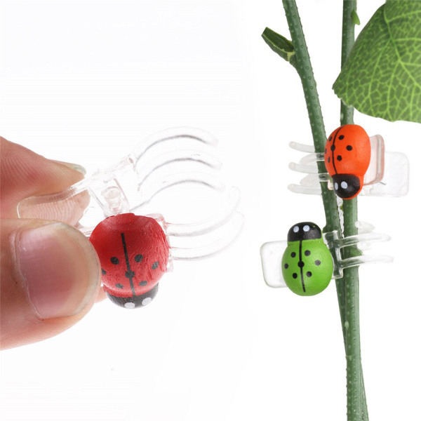 6de367150982ca68b9c0fe3e23fd1fd9