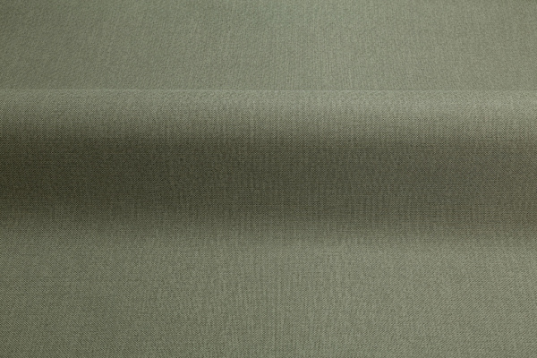 CAT_MACRO_PHOTObImg_SP71992-74_(3)