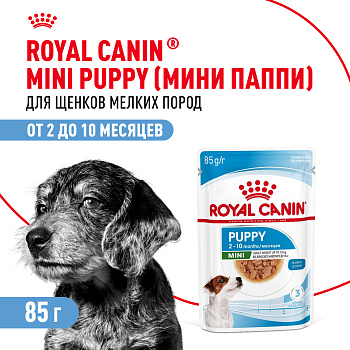 Мини Паппи соус 28*85г ЧЗ
