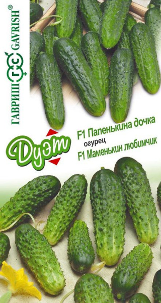 ogurecz_papenkina_dochkamamenkin_lyubimchik_mini4