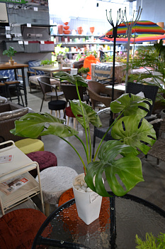 Пальма Арека 125см Ботаническая копия ВН.ШК