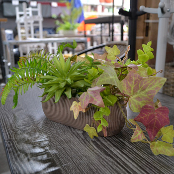 Композиция коричневая маленькая ВН.ШК