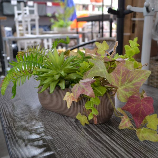 upd kompoz korich mal