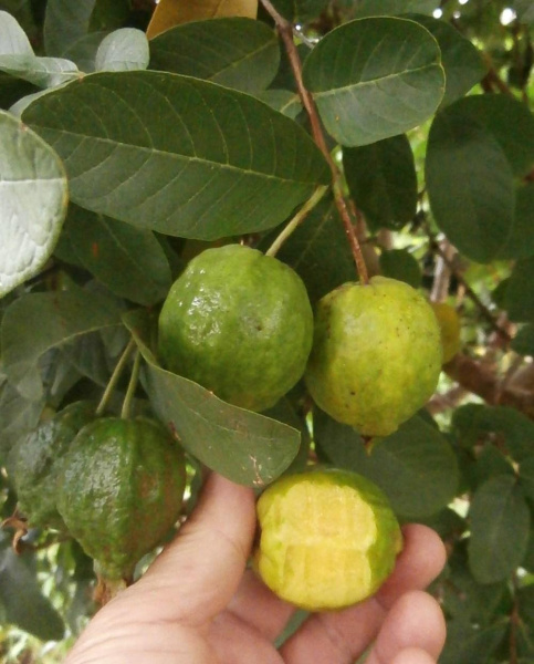 4c39174c3c9b18d96780d4e6aba16a73