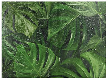 Картина XXL Монстера за окном 190х140