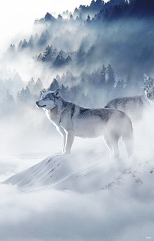 Картина Волки в тумане 70х110