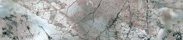 БВ 61 071 Бордюр кер. InterCerama Magia Сер. 50x7