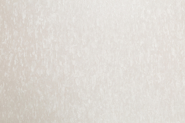 CAT_MACRO_PHOTOqImg_PL72023-23_(6)