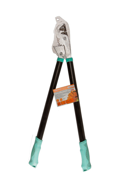 1a7d17c7-2554-11ee-8d54-00505690a4dd