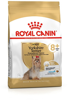 Йоркшир Терьер 28 0,5кг ЧЗ